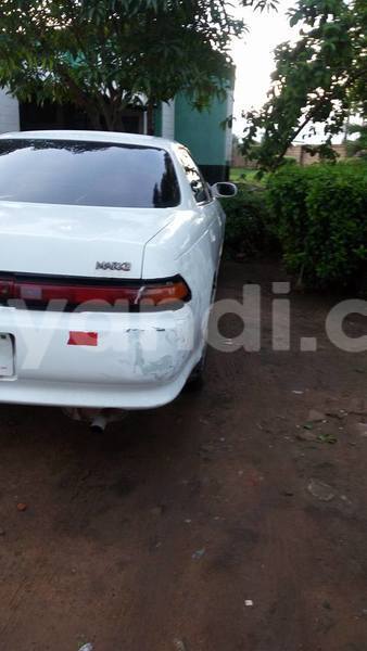 Big with watermark 15285033 1129442643839909 5134408343826197814 n