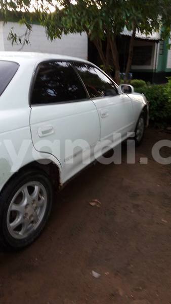 Big with watermark 15578737 1281570078576389 5086098407229006862 n