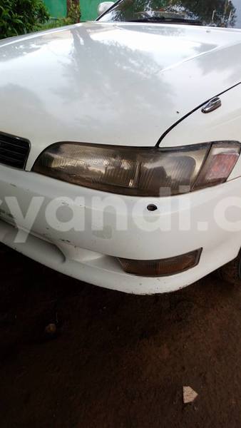 Big with watermark 15590123 1873629849587474 5620022596992670559 n