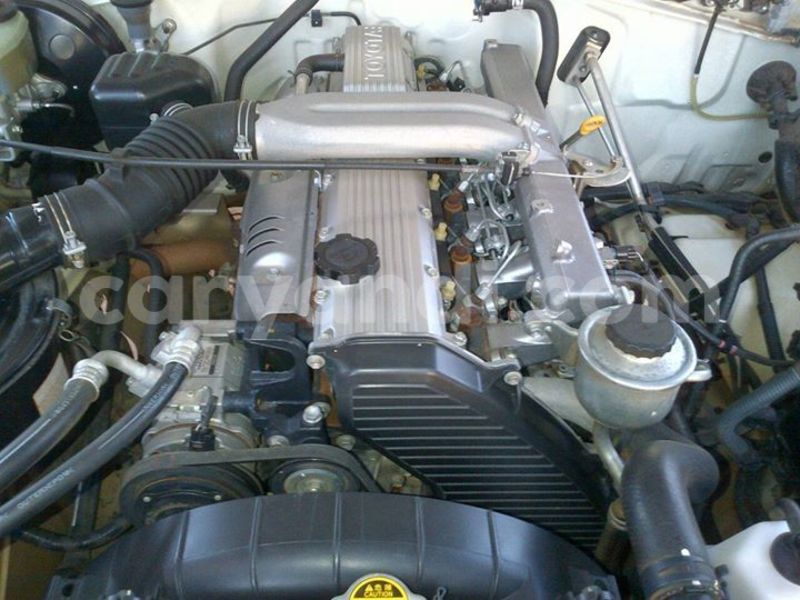 Big with watermark 15285033 1129442643839909 5134408343826197814 n