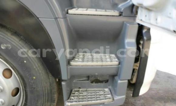 Acheter Occasion Utilitaire Hino Ranger Blanc à Lusaka, Zambie Acheter Occasion Utilitaire Hino Ranger Blanc à Lusaka, Zambie