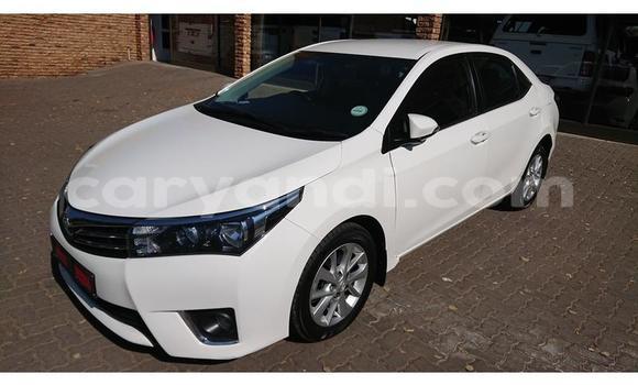 Tenga Tsaru Toyota Corolla Chena Mota in Chinsali in Northern Tenga Tsaru Toyota Corolla Chena Mota in Chinsali in Northern