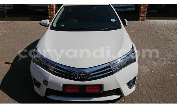 Tenga Tsaru Toyota Corolla Chena Mota in Chinsali in Northern Tenga Tsaru Toyota Corolla Chena Mota in Chinsali in Northern