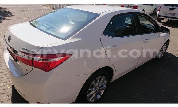 Tenga Tsaru Toyota Corolla Chena Mota in Chinsali in Northern Tenga Tsaru Toyota Corolla Chena Mota in Chinsali in Northern