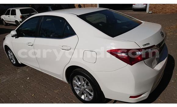 Tenga Tsaru Toyota Corolla Chena Mota in Chinsali in Northern Tenga Tsaru Toyota Corolla Chena Mota in Chinsali in Northern