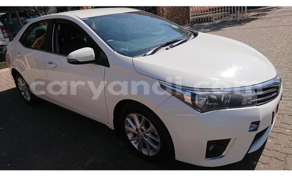 Tenga Tsaru Toyota Corolla Chena Mota in Chinsali in Northern Tenga Tsaru Toyota Corolla Chena Mota in Chinsali in Northern