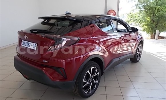 Nunua Ilio tumika Toyota C-HR Nyekundu Gari ndani ya Chingola nchini Zambia Nunua Ilio tumika Toyota C-HR Nyekundu Gari ndani ya Chingola nchini Zambia