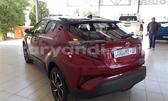 Nunua Ilio tumika Toyota C-HR Nyekundu Gari ndani ya Chingola nchini Zambia Nunua Ilio tumika Toyota C-HR Nyekundu Gari ndani ya Chingola nchini Zambia
