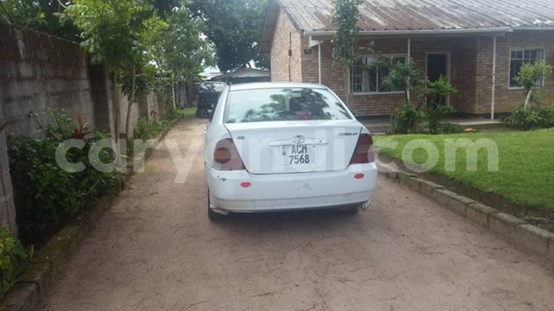 Big with watermark 15285033 1129442643839909 5134408343826197814 n