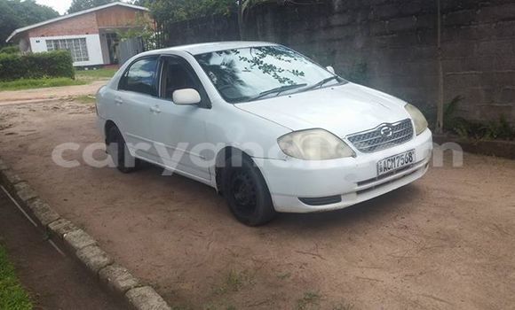 Tenga Tsaru Toyota Corolla Chena Mota in Chipata in Zambia Tenga Tsaru Toyota Corolla Chena Mota in Chipata in Zambia