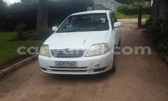 Tenga Tsaru Toyota Corolla Chena Mota in Chipata in Zambia Tenga Tsaru Toyota Corolla Chena Mota in Chipata in Zambia