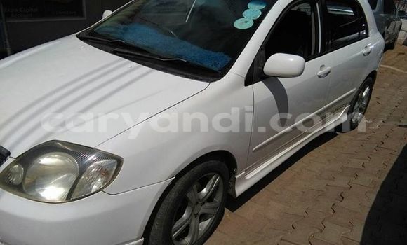 Buy Used Toyota Runx White Car in Chipata in Zambia Buy Used Toyota Runx White Car in Chipata in Zambia