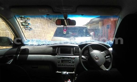 Buy Used Toyota Runx White Car in Chipata in Zambia Buy Used Toyota Runx White Car in Chipata in Zambia