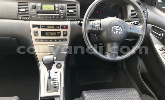 Buy Used Toyota Runx Silver Car in Lusaka in Zambia Buy Used Toyota Runx Silver Car in Lusaka in Zambia