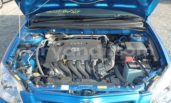 Buy Used Toyota Runx Blue Car in Lusaka in Zambia Buy Used Toyota Runx Blue Car in Lusaka in Zambia