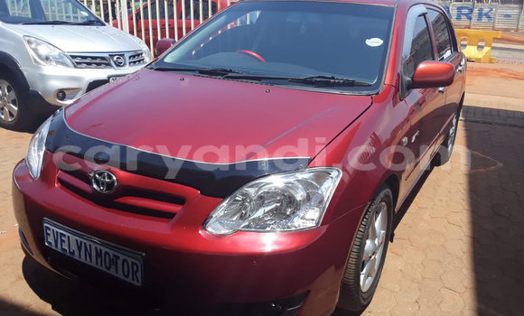 Buy Used Toyota Runx Red Car in Lusaka in Zambia Buy Used Toyota Runx Red Car in Lusaka in Zambia