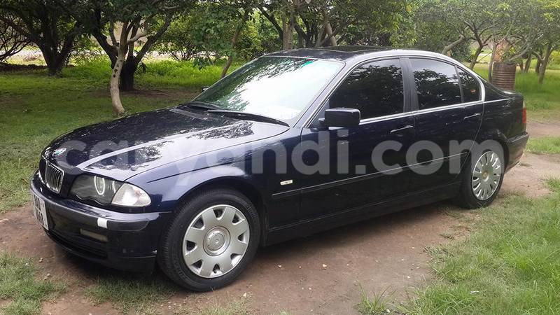 Big with watermark 15285033 1129442643839909 5134408343826197814 n