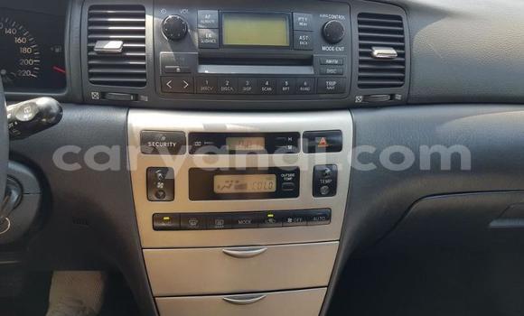 Buy Used Toyota RAV4 Blue Car in Lusaka in Zambia Buy Used Toyota RAV4 Blue Car in Lusaka in Zambia