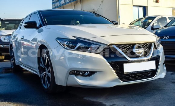 Nunua Imported Nissan Maxima Nyeupe Gari ndani ya Import - Dubai nchini Zambia Nunua Imported Nissan Maxima Nyeupe Gari ndani ya Import - Dubai nchini Zambia