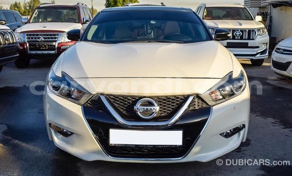 Nunua Imported Nissan Maxima Nyeupe Gari ndani ya Import - Dubai nchini Zambia Nunua Imported Nissan Maxima Nyeupe Gari ndani ya Import - Dubai nchini Zambia