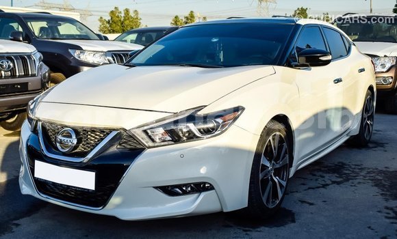 Nunua Imported Nissan Maxima Nyeupe Gari ndani ya Import - Dubai nchini Zambia Nunua Imported Nissan Maxima Nyeupe Gari ndani ya Import - Dubai nchini Zambia