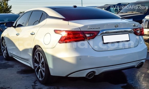 Nunua Imported Nissan Maxima Nyeupe Gari ndani ya Import - Dubai nchini Zambia Nunua Imported Nissan Maxima Nyeupe Gari ndani ya Import - Dubai nchini Zambia
