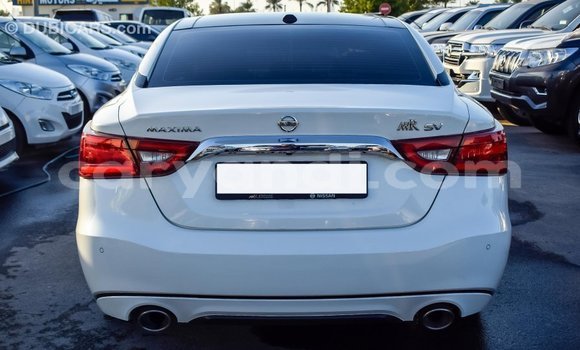 Nunua Imported Nissan Maxima Nyeupe Gari ndani ya Import - Dubai nchini Zambia Nunua Imported Nissan Maxima Nyeupe Gari ndani ya Import - Dubai nchini Zambia