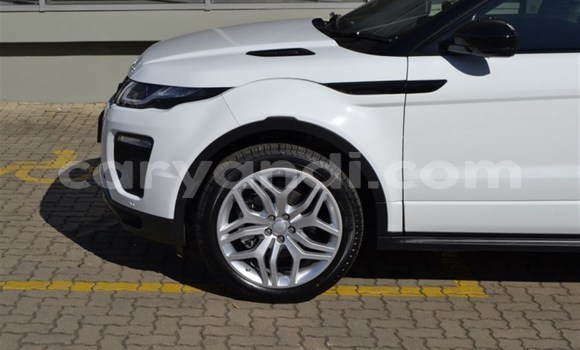 Nunua Ilio tumika Land Rover Range Rover Evoque Nyeupe Gari ndani ya Chingola nchini Zambia Nunua Ilio tumika Land Rover Range Rover Evoque Nyeupe Gari ndani ya Chingola nchini Zambia