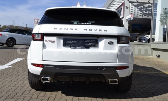 Nunua Ilio tumika Land Rover Range Rover Evoque Nyeupe Gari ndani ya Chingola nchini Zambia Nunua Ilio tumika Land Rover Range Rover Evoque Nyeupe Gari ndani ya Chingola nchini Zambia