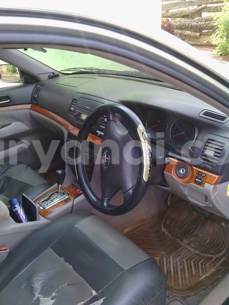 Big with watermark 2016 12 31 04 04 12 20161228 150003 800 640 0