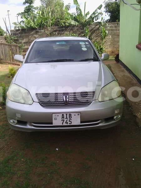 Big with watermark 2016 12 31 04 04 12 20161228 150053 800 640 0