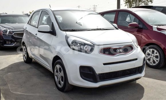 Tenga Imported Kia Picanto Chena Mota in Import - Dubai in Zambia Tenga Imported Kia Picanto Chena Mota in Import - Dubai in Zambia