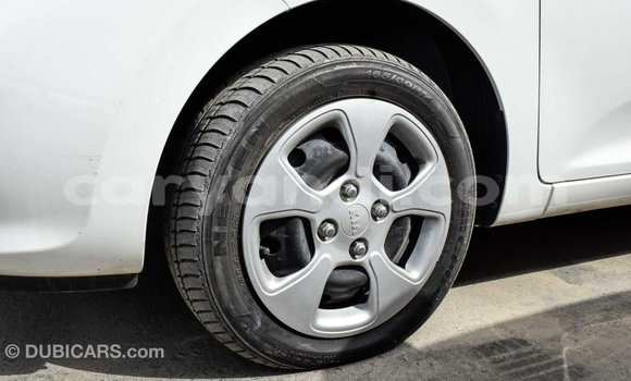 Tenga Imported Kia Picanto Chena Mota in Import - Dubai in Zambia Tenga Imported Kia Picanto Chena Mota in Import - Dubai in Zambia