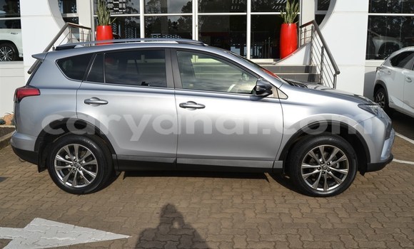 Tenga Tsaru Toyota RAV4 Zvimwe Mota in Livingstone in Zambia Tenga Tsaru Toyota RAV4 Zvimwe Mota in Livingstone in Zambia