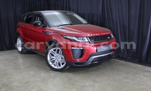 Buy Used Land Rover Range Rover Evoque Red Car in Lusaka in Zambia Buy Used Land Rover Range Rover Evoque Red Car in Lusaka in Zambia