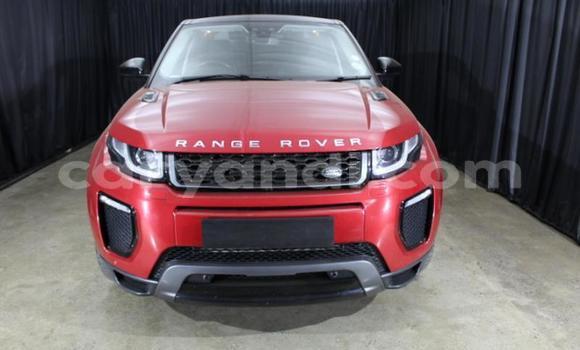 Buy Used Land Rover Range Rover Evoque Red Car in Lusaka in Zambia Buy Used Land Rover Range Rover Evoque Red Car in Lusaka in Zambia