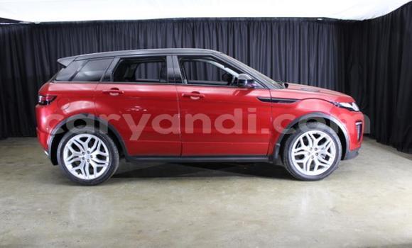 Buy Used Land Rover Range Rover Evoque Red Car in Lusaka in Zambia Buy Used Land Rover Range Rover Evoque Red Car in Lusaka in Zambia