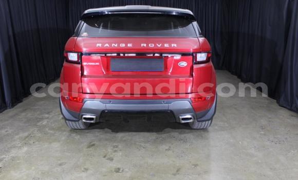 Buy Used Land Rover Range Rover Evoque Red Car in Lusaka in Zambia Buy Used Land Rover Range Rover Evoque Red Car in Lusaka in Zambia
