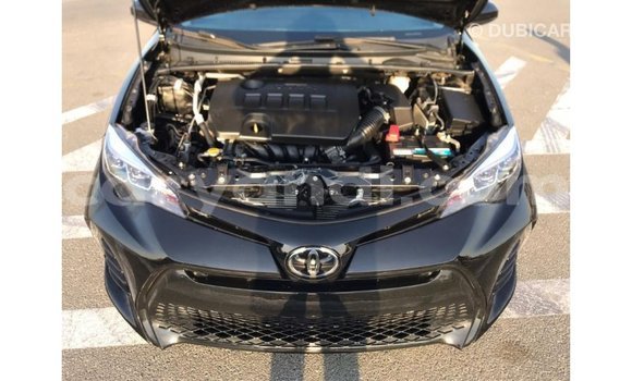 Buy Import Toyota Corolla Black Car in Import - Dubai in Zambia Buy Import Toyota Corolla Black Car in Import - Dubai in Zambia