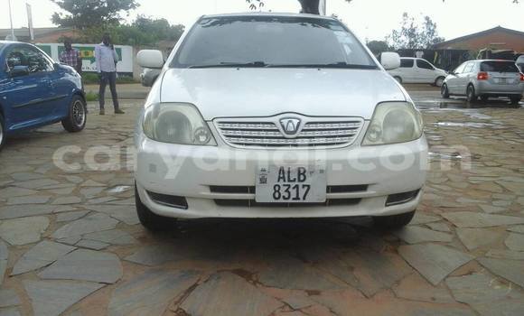 Tenga Tsaru Toyota Allex Chena Mota in Chipata in Zambia Tenga Tsaru Toyota Allex Chena Mota in Chipata in Zambia