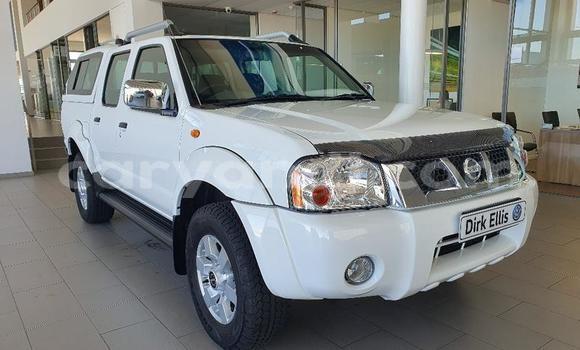 Buy Used Nissan Hardbody White Car in Livingstone in Zambia Buy Used Nissan Hardbody White Car in Livingstone in Zambia