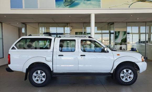 Buy Used Nissan Hardbody White Car in Livingstone in Zambia Buy Used Nissan Hardbody White Car in Livingstone in Zambia
