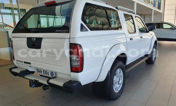 Buy Used Nissan Hardbody White Car in Livingstone in Zambia Buy Used Nissan Hardbody White Car in Livingstone in Zambia