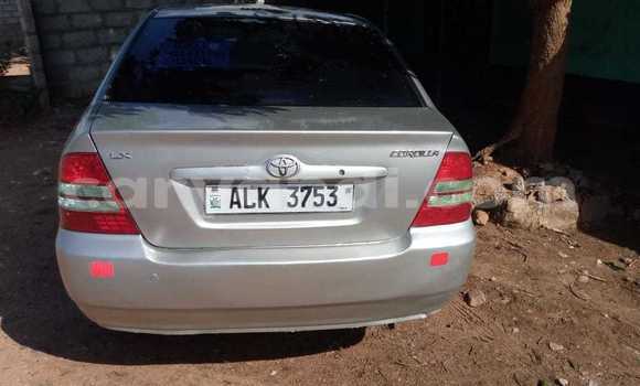 Buy Used Toyota Corolla Beige Car in Lusaka in Zambia Buy Used Toyota Corolla Beige Car in Lusaka in Zambia
