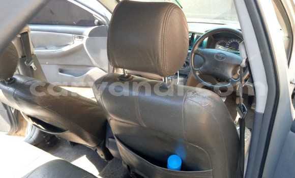 Buy Used Toyota Corolla Beige Car in Lusaka in Zambia Buy Used Toyota Corolla Beige Car in Lusaka in Zambia