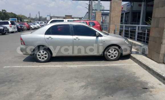 Buy Used Toyota Corolla Beige Car in Lusaka in Zambia Buy Used Toyota Corolla Beige Car in Lusaka in Zambia