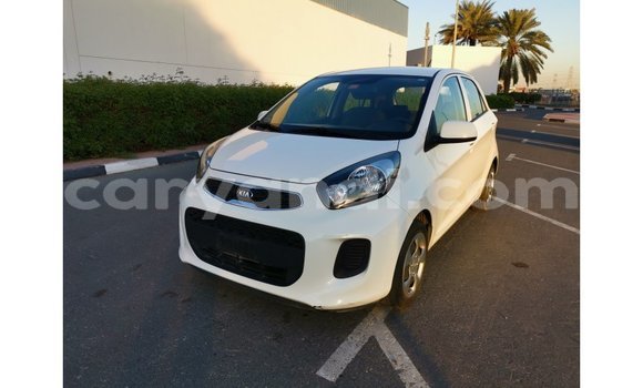 Acheter Import Voiture Kia Picanto Blanc à Import - Dubai, Zambie Acheter Import Voiture Kia Picanto Blanc à Import - Dubai, Zambie