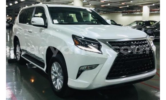 Buy Import Lexus GX White Car in Import - Dubai in Zambia Buy Import Lexus GX White Car in Import - Dubai in Zambia