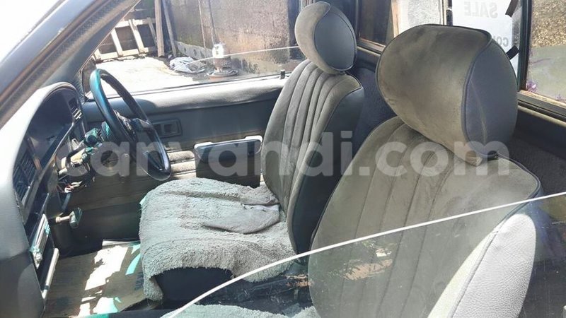 Big with watermark 15590123 1873629849587474 5620022596992670559 n