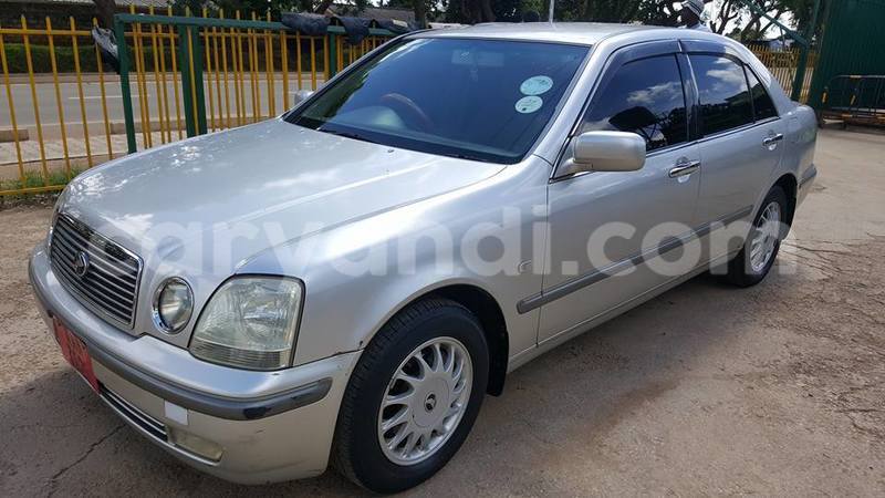 Big with watermark 15284065 1129442633839910 5230908860684797680 n